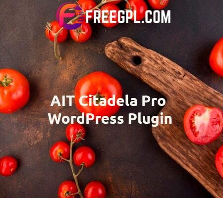 AIT Citadela Pro WordPress Plugin 3.1.2 Free Download