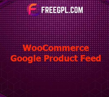 WooCommerce Google Product Feed v9.6.7 Free Download